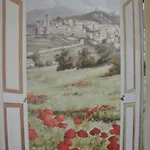 Iris Assisi