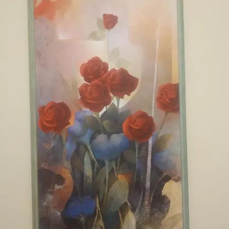 Iris 4*