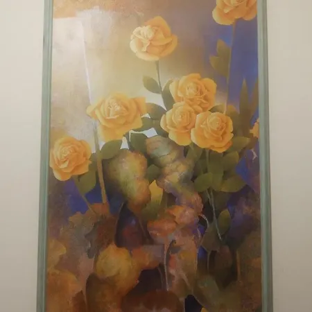 Iris 2* Asís