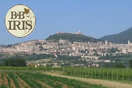 לינה וארוחת בוקר Iris 4*