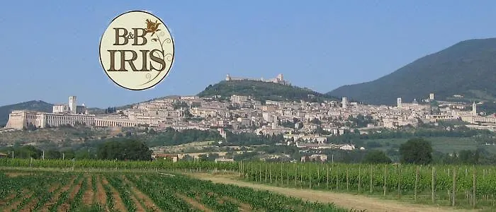 Nocleg ze śniadaniem Iris 4*